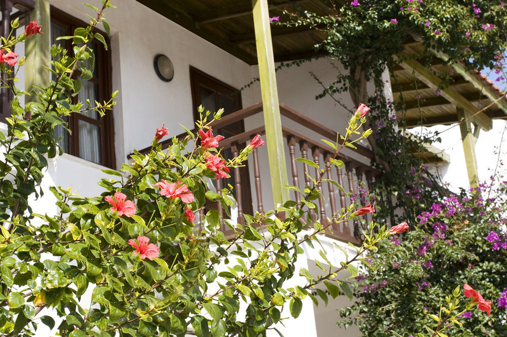 Delfi Hotel Spa & Wellness Center Bodrum Kültér fotó